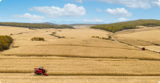 ĵ����10��Ķ����ȫ�����й�