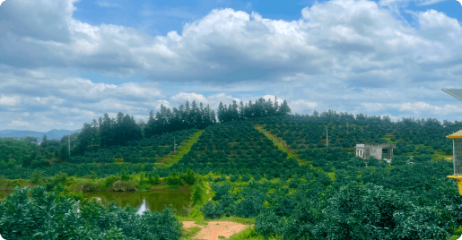 �ŷ��ؾ۳���ݪֲ��ͥũ��