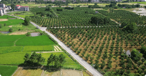 ����ǧĶ���������������йܻ���