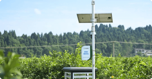 �Ĵ�������������Ӧ�û���