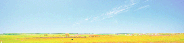 ��ʵ�˲��������������������������壺��������ȫ��ҵ���ƿ�����ʽ���ߣ�?