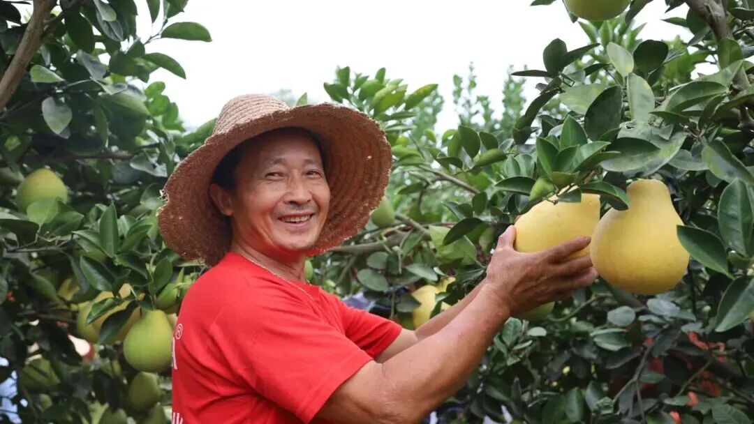 97����ũ��������ũ�������ִ�ũ�����𡱱�׼