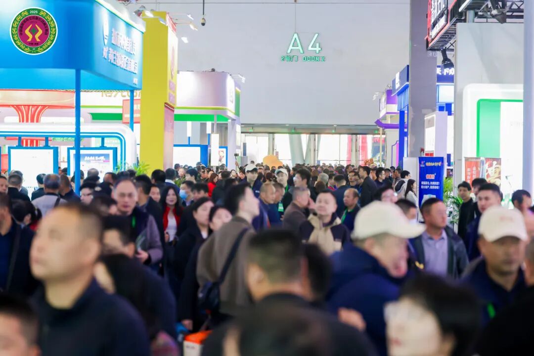 97���ʿع������й�ֲ����˫���ᡱ ���������������������ȿ�